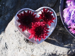 ハートのカップ