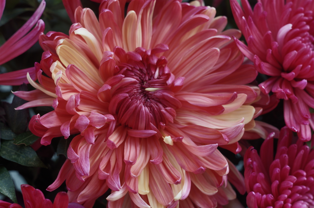 グラデーション