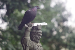 鳩は剣よりも強し