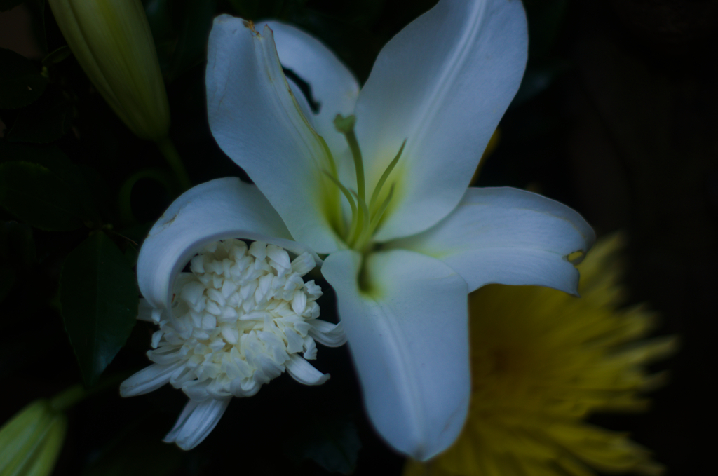 石佛に寄り添う友