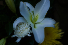 石佛に寄り添う友