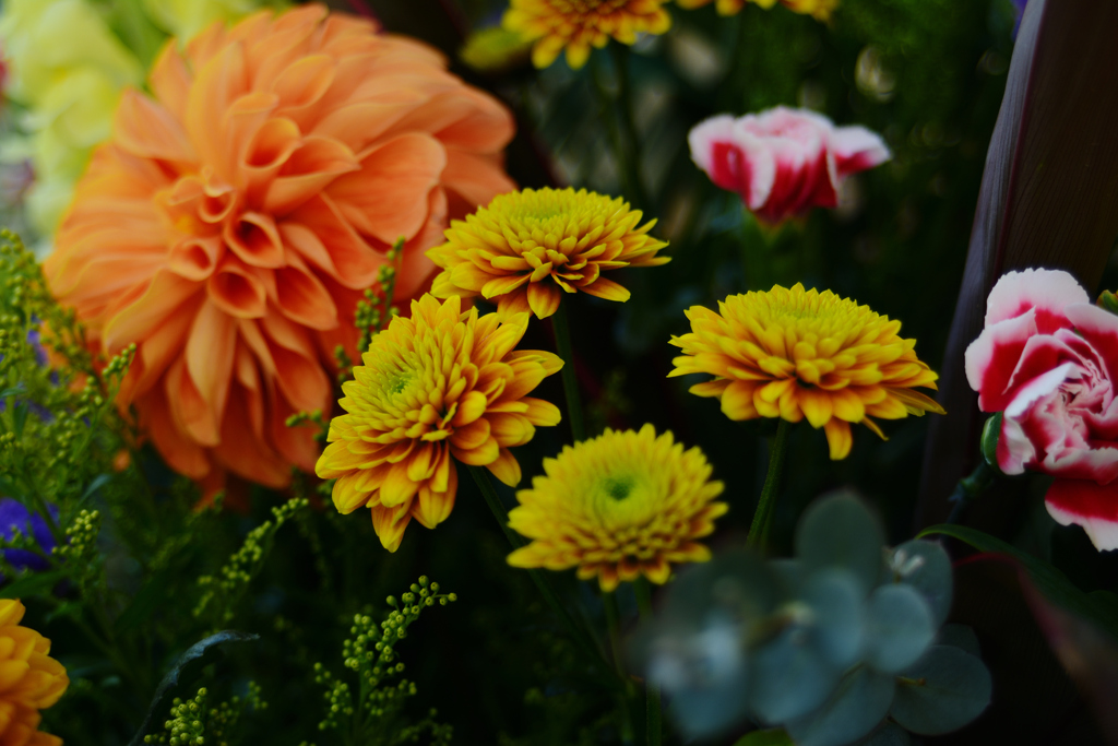 セクシーイエロー