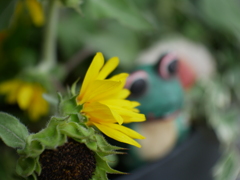 梅雨明けを待つ