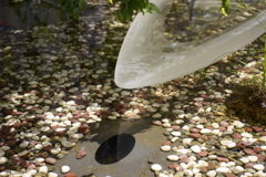 水の影