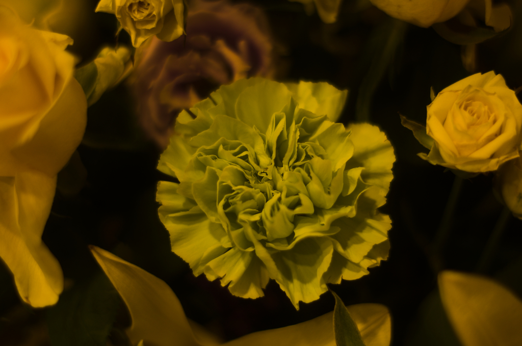 ペーパーフラワー