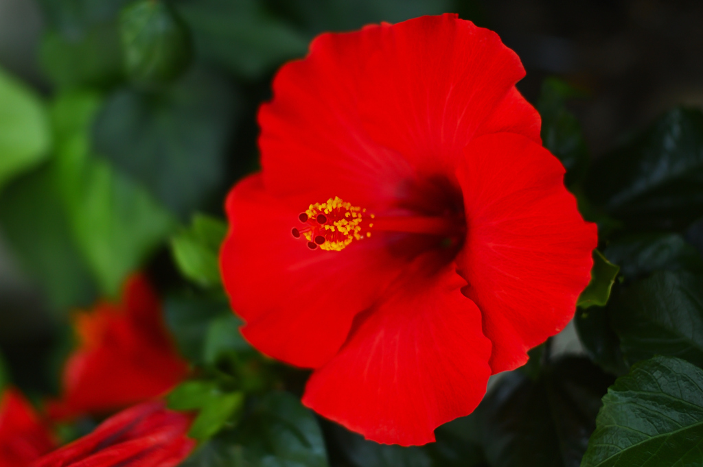 照射するタイプの兵器