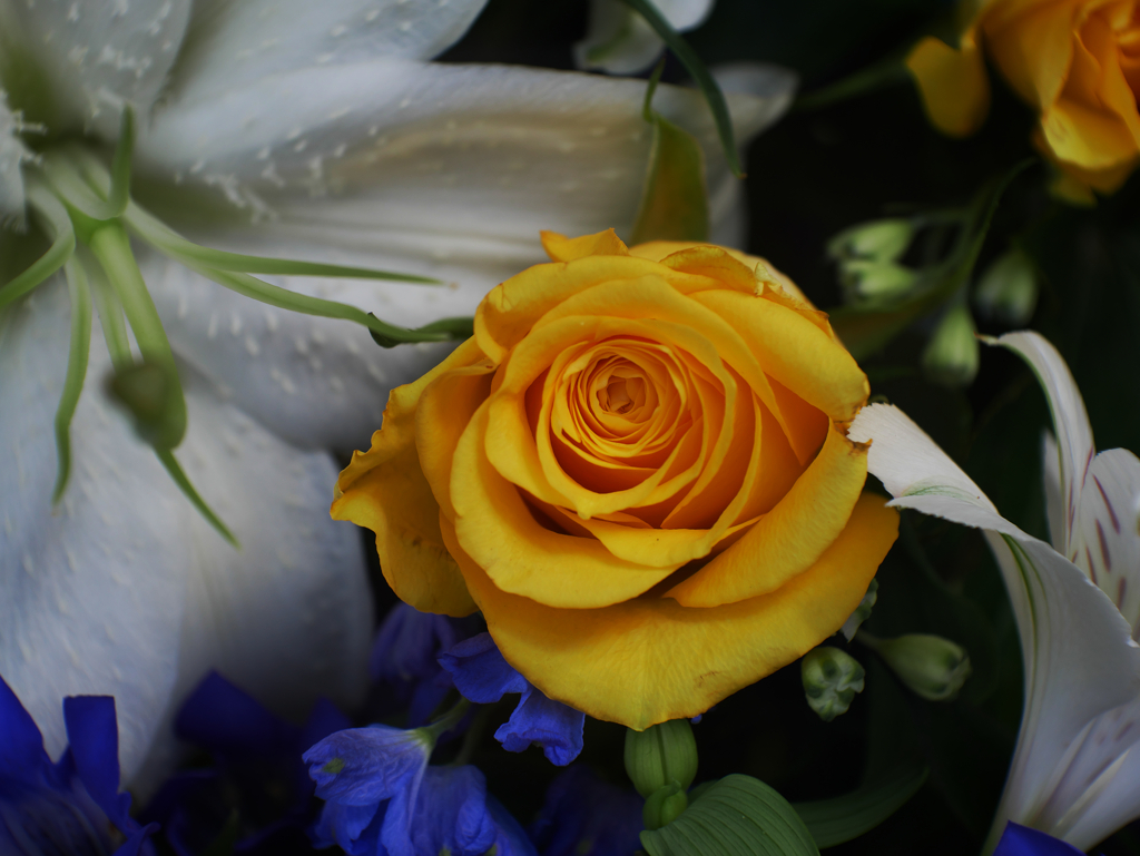 ミルフィーユPI