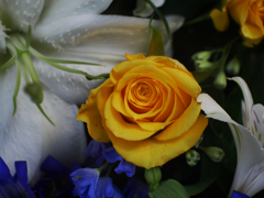 ミルフィーユPI