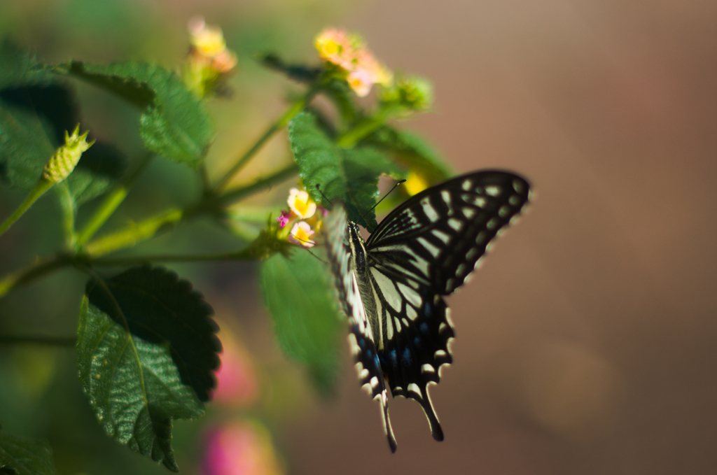 優雅に見えて、努力してますから。