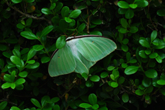 「そうか、そうか、つまりきみはそういうやつなんだな。」