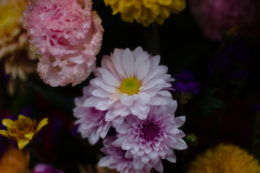 花祭