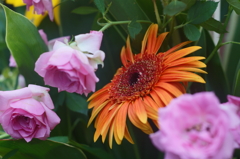 目の付けどころが