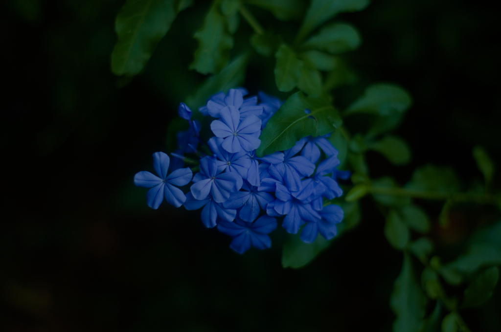 静止した闇の中で