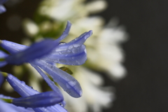 後ろ！の後ろ！！