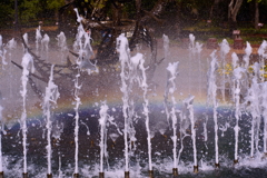 ある晴れた日の午後