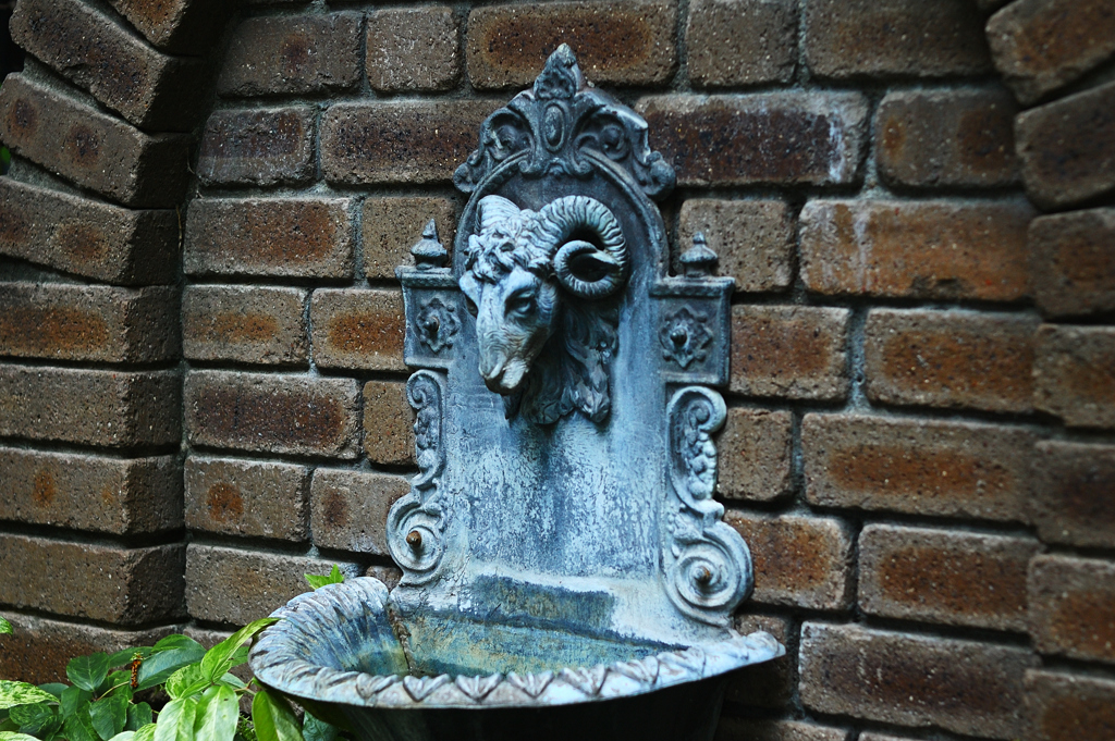 「頭突っ込んだら抜けなくなった・・・」