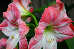 みんな背中合わせる