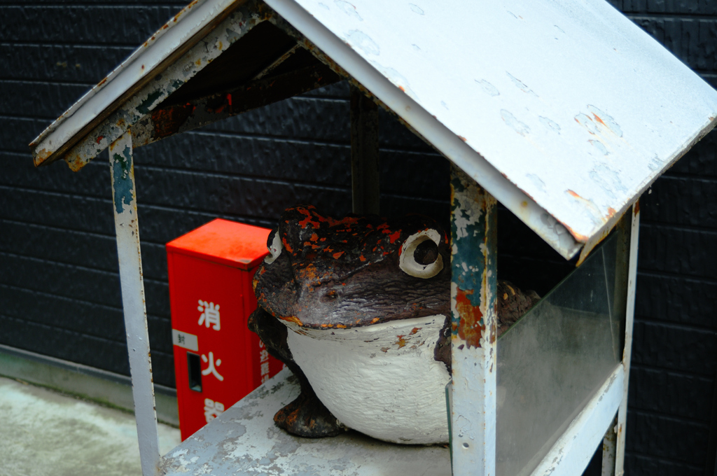 「雨降ったらどうしよ」