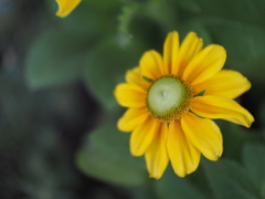 全身で風を受ける