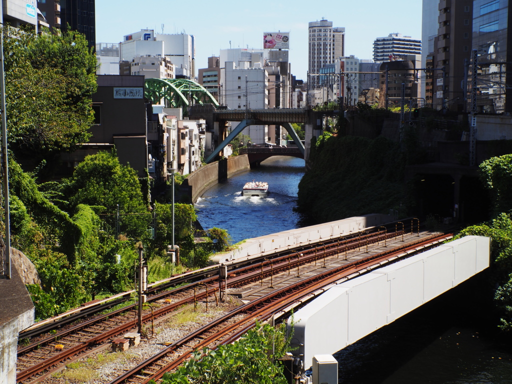 神田川2024