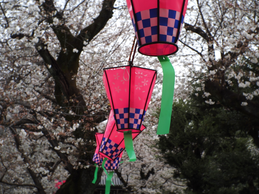 祭りの灯り