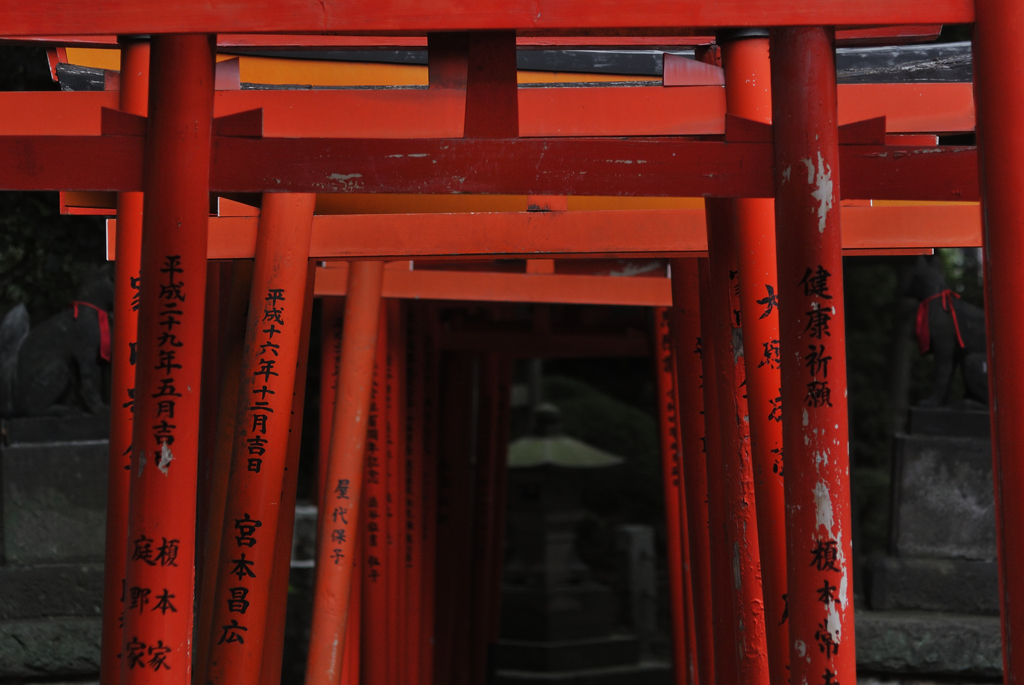 暗昼神路