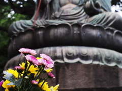 諸行無常の花の色