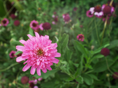 楽しい仲間たち