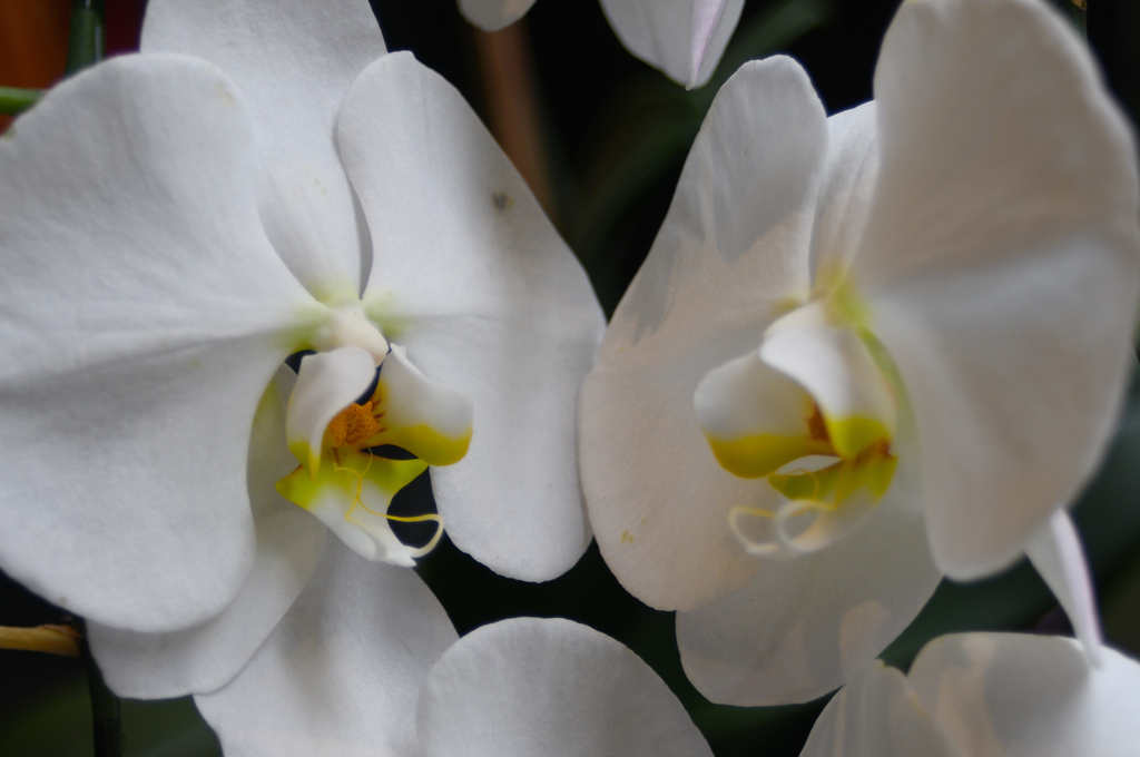 なにしゃべってんの？