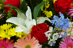 冷静と情熱のあいだ