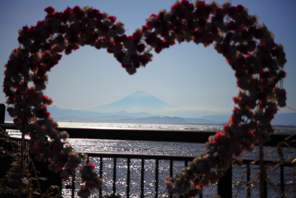 富士を包む愛