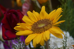 アメニモマケズ・・・