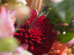 光霧