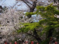 春秋