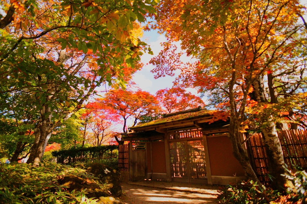 定義山の庭園