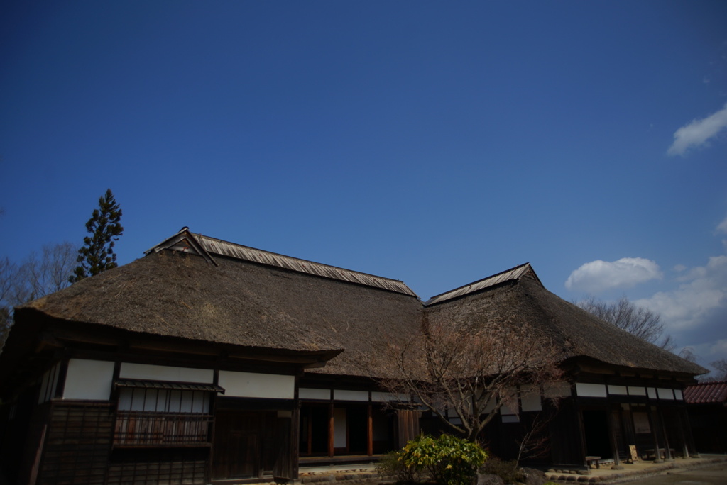 春の青空