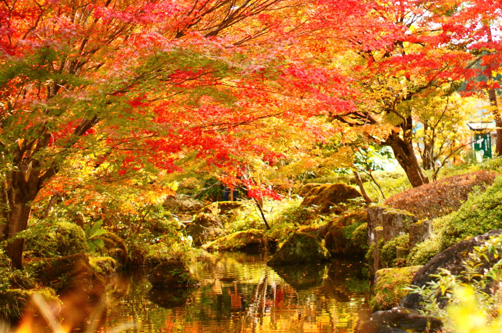 定義山の庭園