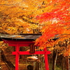 紅葉も終盤