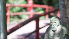 青麻神社の猿