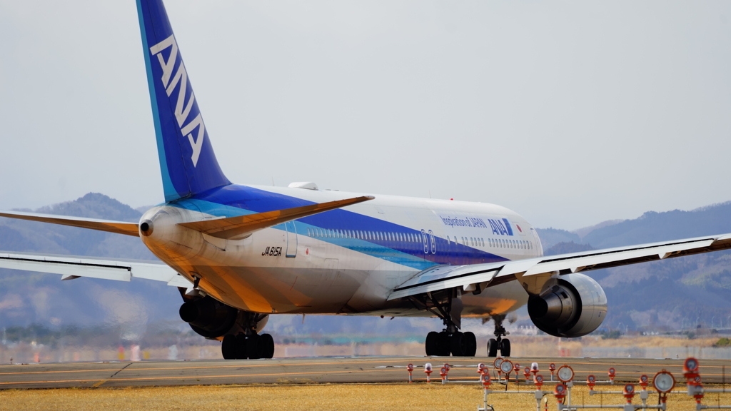 仙台空港にしてはちょっと大きいやつ。