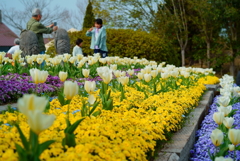 家族と花