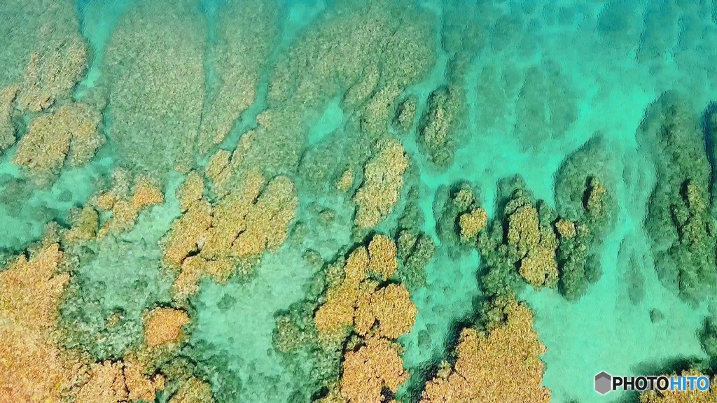 古宇利島のサンゴ礁