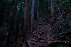 ひとりきりの山行