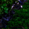 清流
