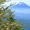 富士山