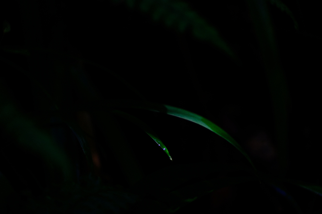 晴れ間