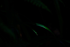 晴れ間