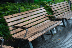 雨の日のベンチ