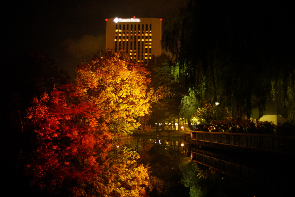 中島公園 紅葉