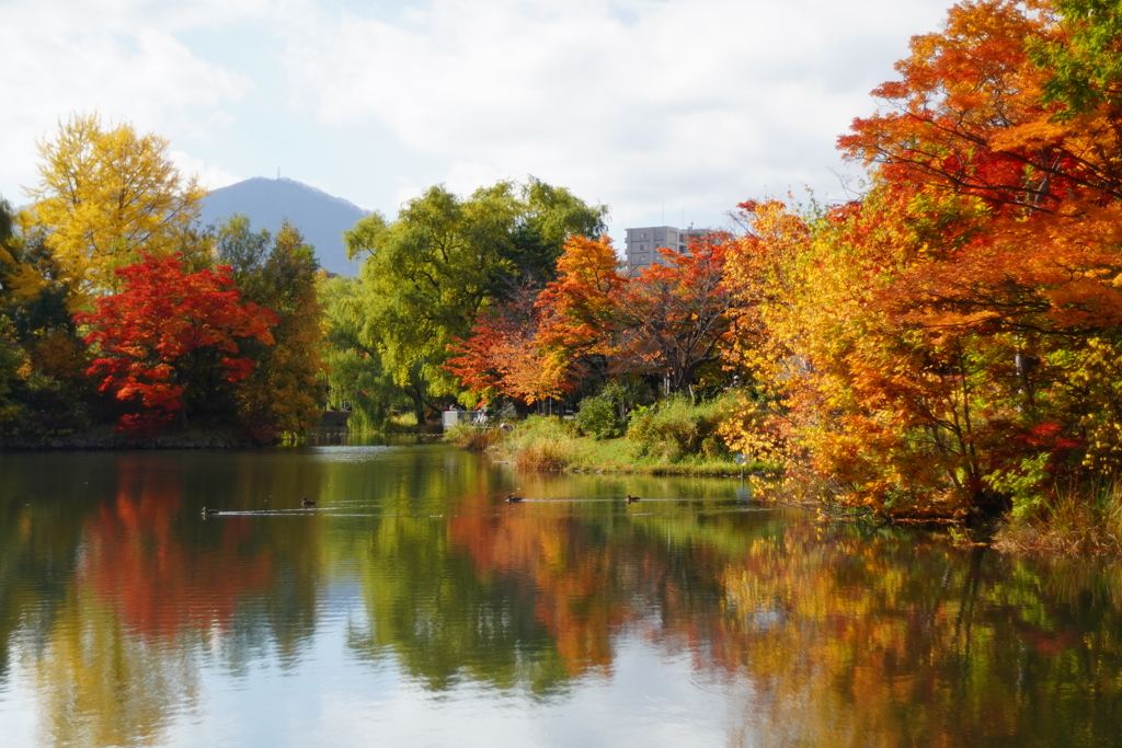 中島公園 紅葉